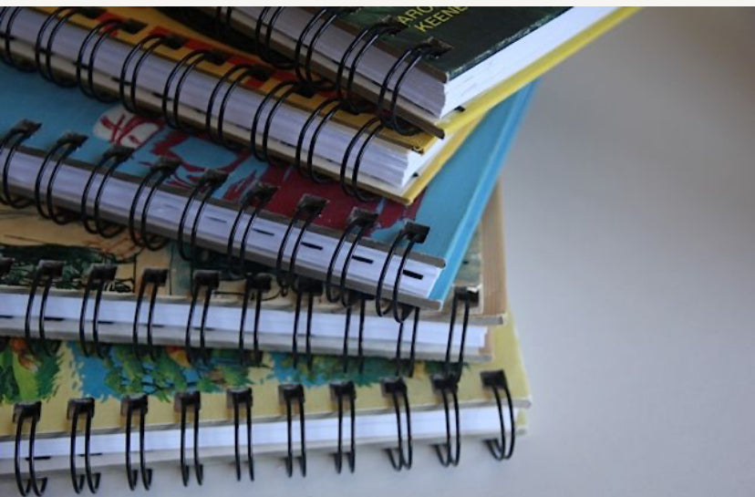 The Last of the Mohicans Vintage Book Blank Journal