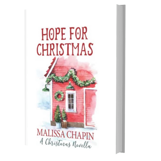 Small town Christmas romance Wisconsin  Story Hallmark Movie in a book