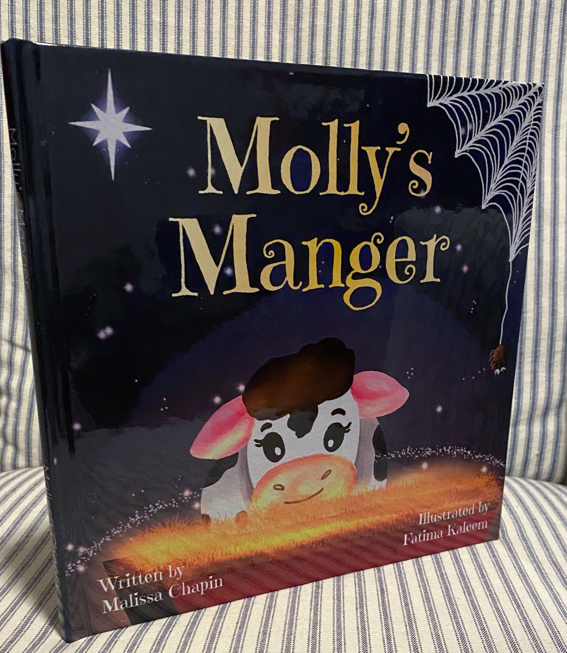 Molly’s Manger Christian children’s Christmas book cover with nativity illustration

